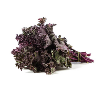 Kale Morado Orgánico (Purple Kale)