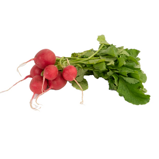 Rabanitos Rollo Orgánico (Radish Bundle)