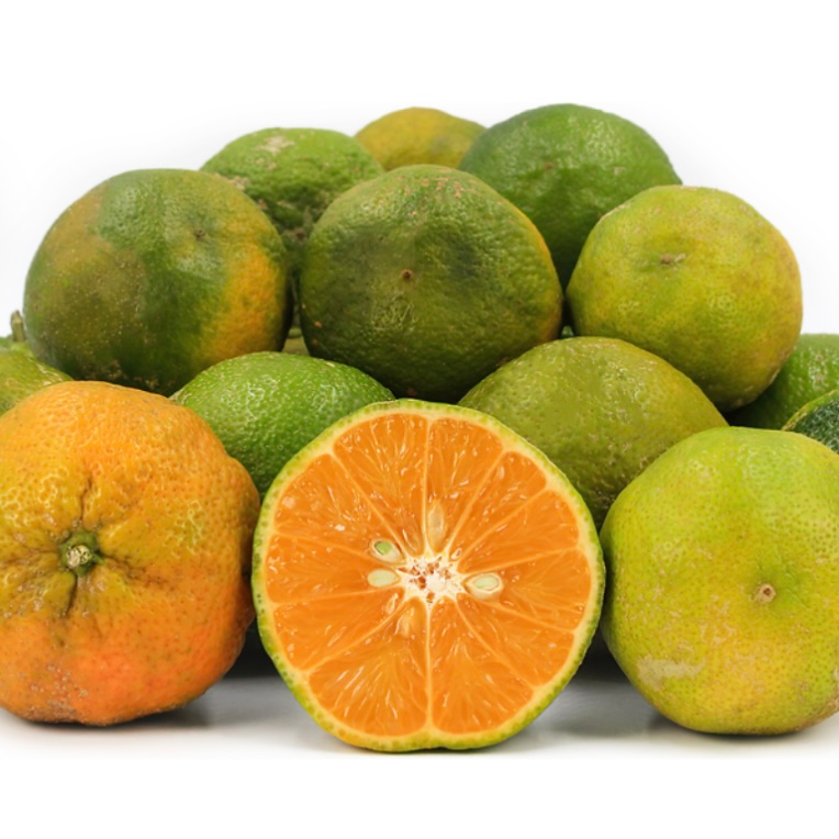 Limon Mandarina Orgánica (Lemon Mandarina)