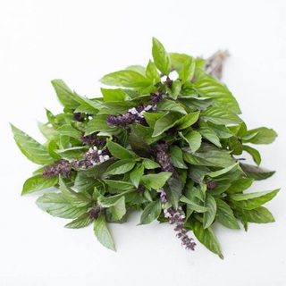 Albahaca Canela Orgánica (Cinnamon Basil bundle)