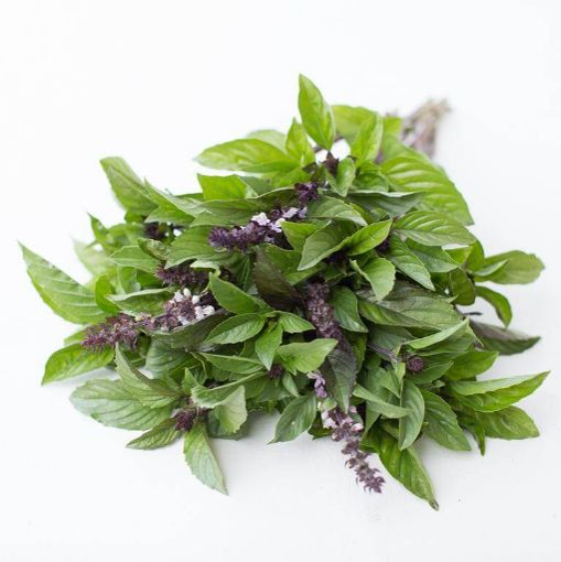 Albahaca Canela Orgánica (Cinnamon Basil bundle)