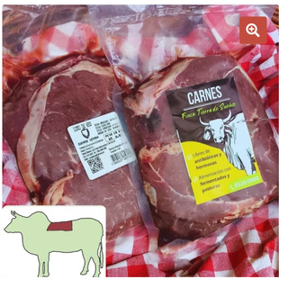 Churrasco (Grill beef)