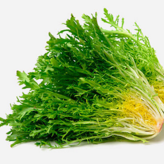 Lechuga Escarola Organica