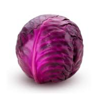 Repollo Morado Orgánico (Purple Cabbage)
