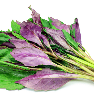 Espinaca Okinawa (Okinawa Spinach)