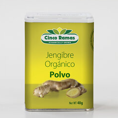 Jengibre en Polvo 40g (Organic Ginger Powder)