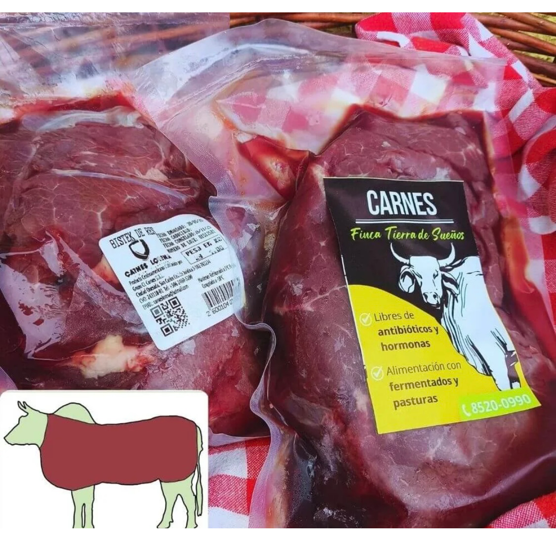 Bistec (Beef Steak)