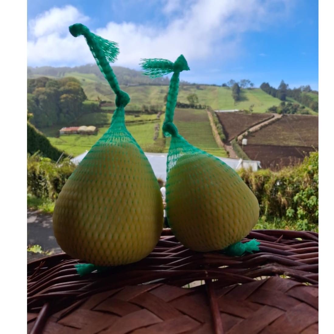 Queso Provolone 300g