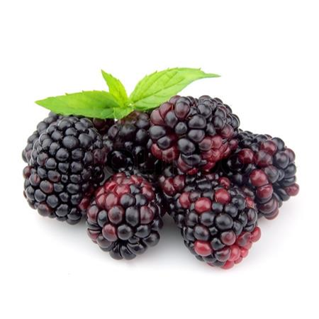 Mora Orgánica 500g (Blackberries)