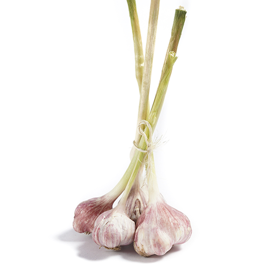 Ajo Criollo Orgánico rollo 100g (Native Garlic bundle)