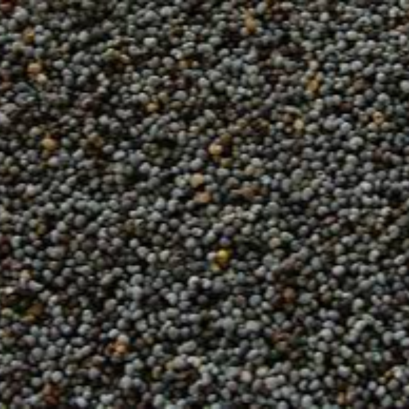1kg Poppy Seed