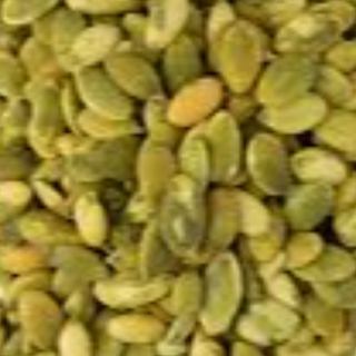 Pumpkin Seeds