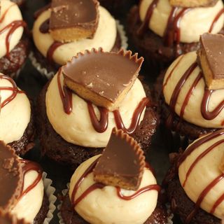 Peanut Butter Chocolate Cupcakes Image