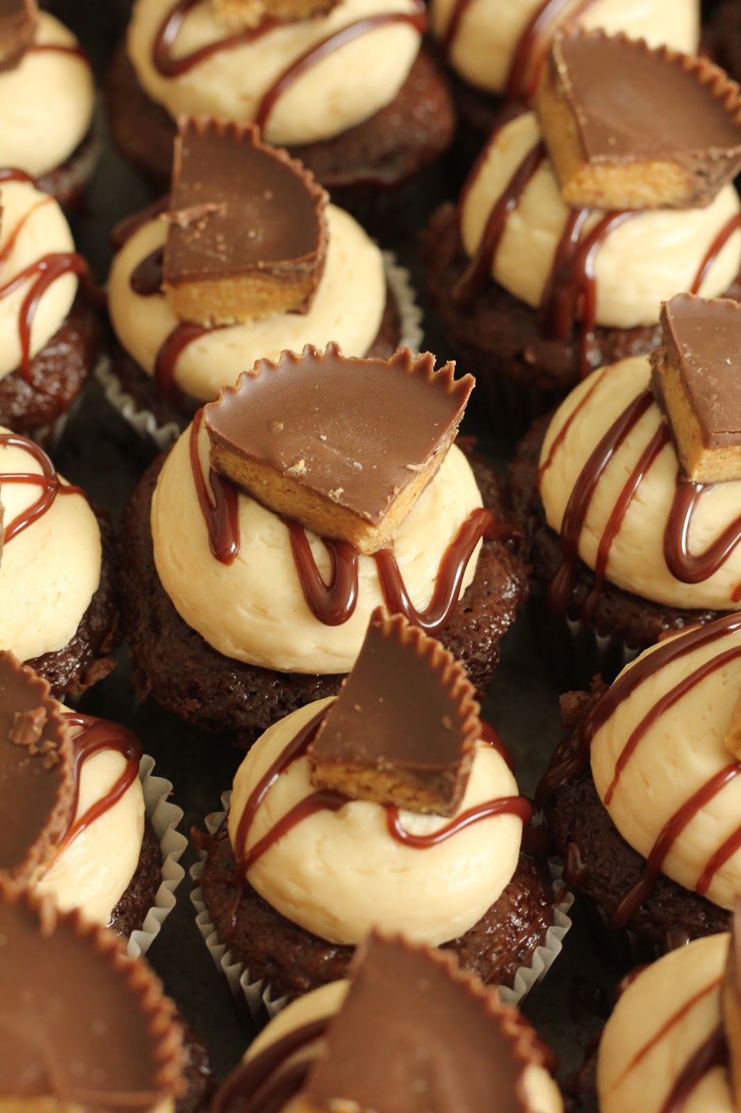 Peanut Butter Chocolate Cupcakes Large Image