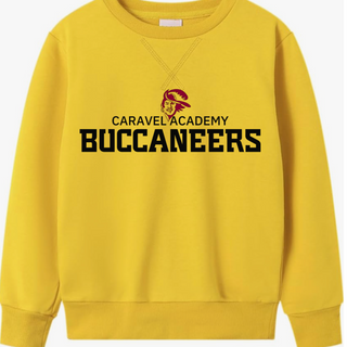 Spring & George Youth Crewneck Sweatshirt - Yellow