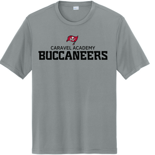 Sport Tek Dri Fit Tee - Grey (Youth, Unisex & Women's) - FLAG 2024 logo