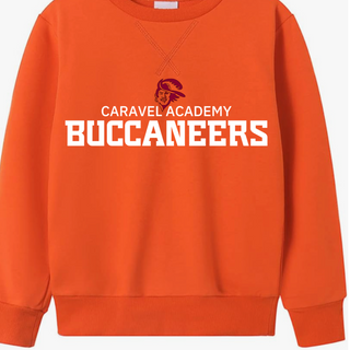 Spring & George Youth Crewneck Sweatshirt - Orange