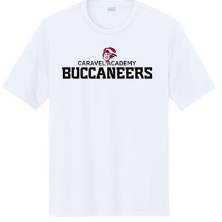 Sport Tek Dri fit Tee - White (Youth, Unisex & Women's)