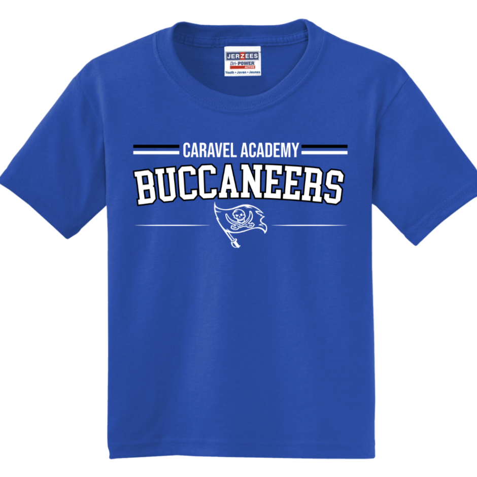 Jerzees 50/50 tee - Blue (Youth & Unisex)
