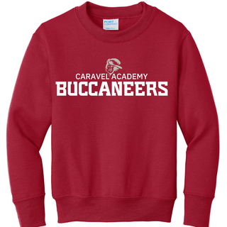 Port & Company Crewneck Sweatshirt - Red (Youth & Unisex)