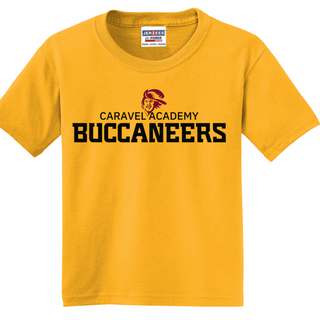 Jerzees 50/50 tee - Yellow (Youth & Unisex)