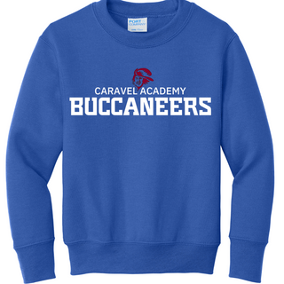 Port & Company Crewneck Sweatshirt - Blue (Youth & Unisex)