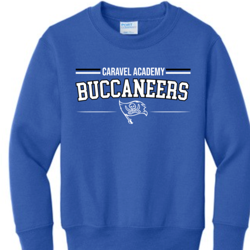 Port & Company Crewneck Sweatshirt - Blue (Youth & Unisex Adult)