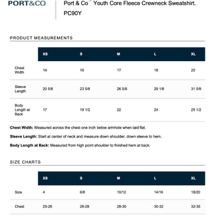 Port & Company Crewneck sweatshirt - Grey (Youth & Unisex)