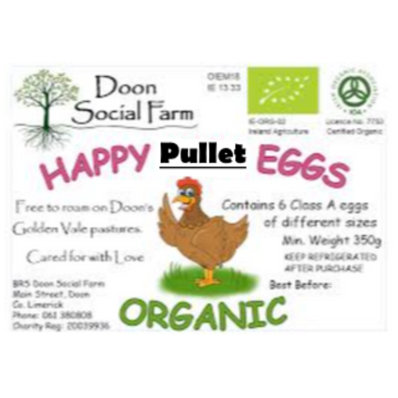 Chicken Eggs (small size) - Doon Social Farm