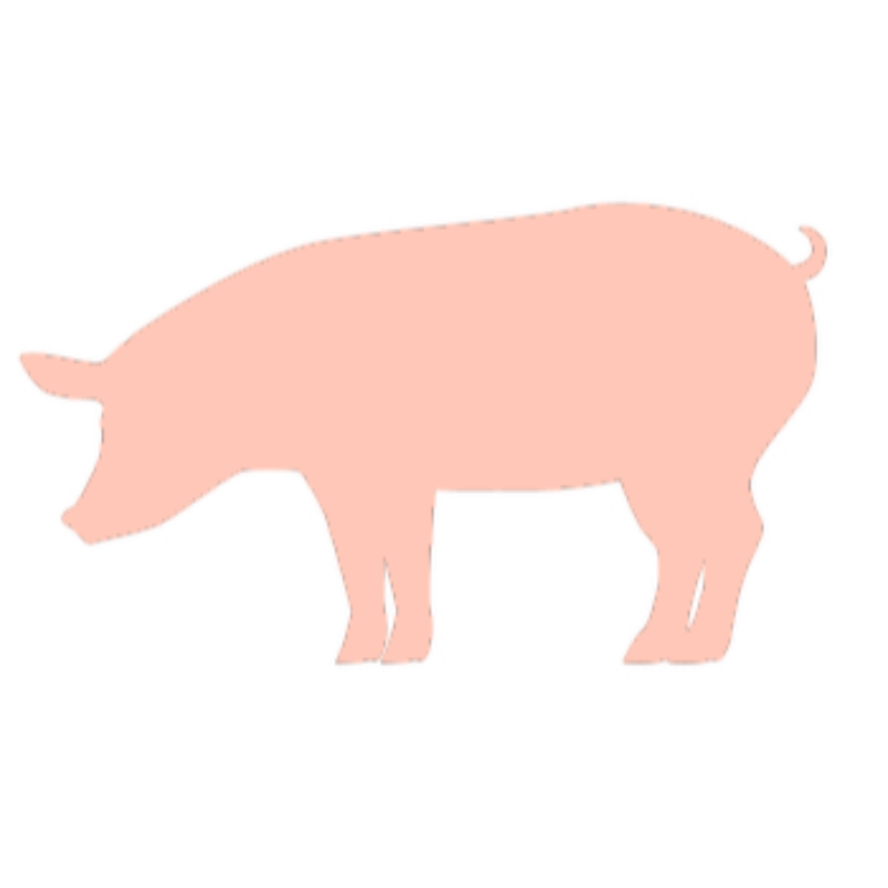 Pork Cheek