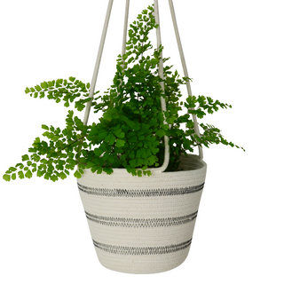 Hanging Planter - Stitched Striped (black) (BSK12111W)