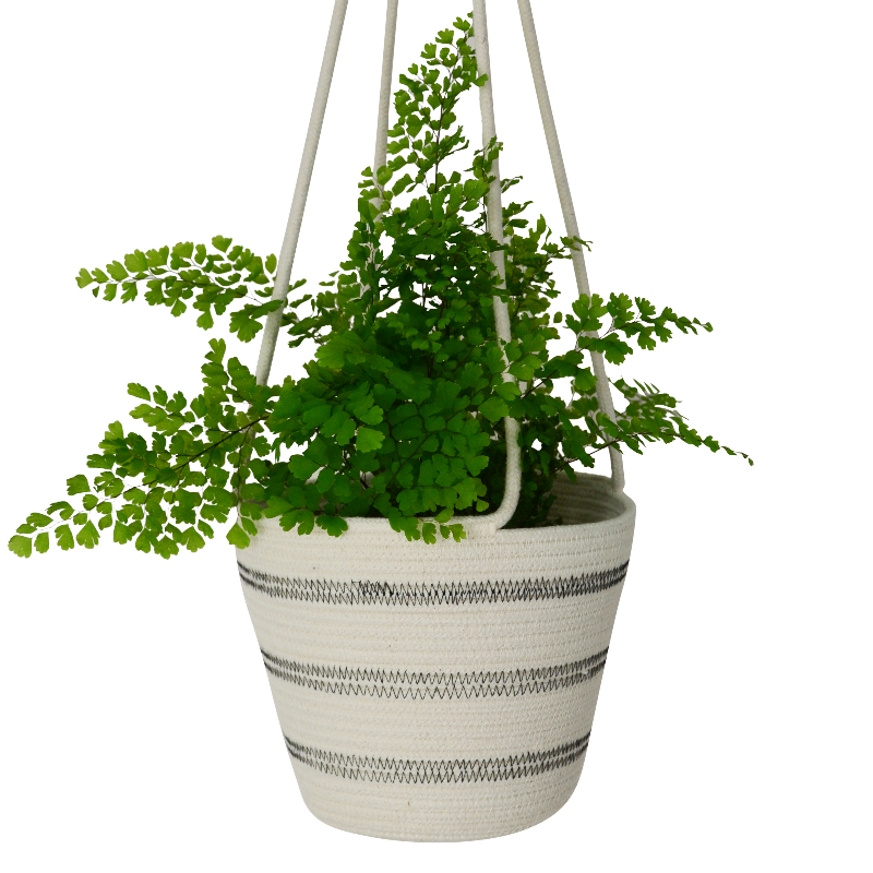 Hanging Planter - Stitched Striped (black) (BSK12111W) Main Image