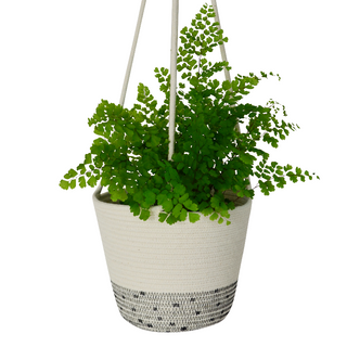 Hanging Planter - Stitched Polka Dot (black) (BSK12111PDW)