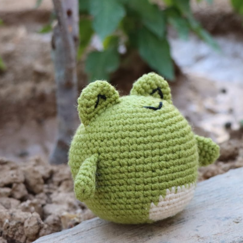 Finn the Frog