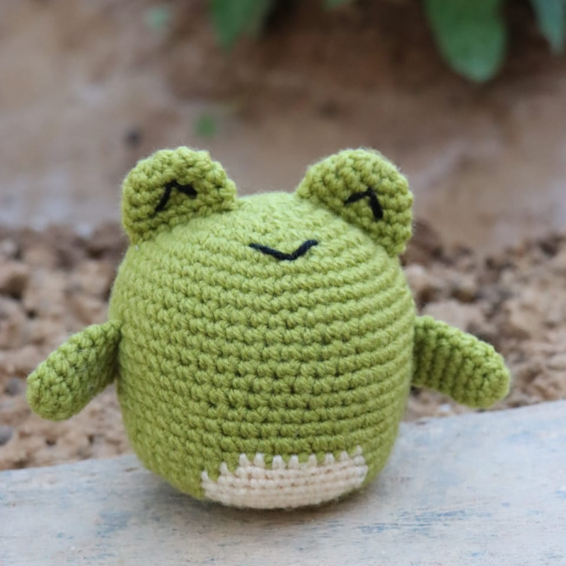 Finn the Frog