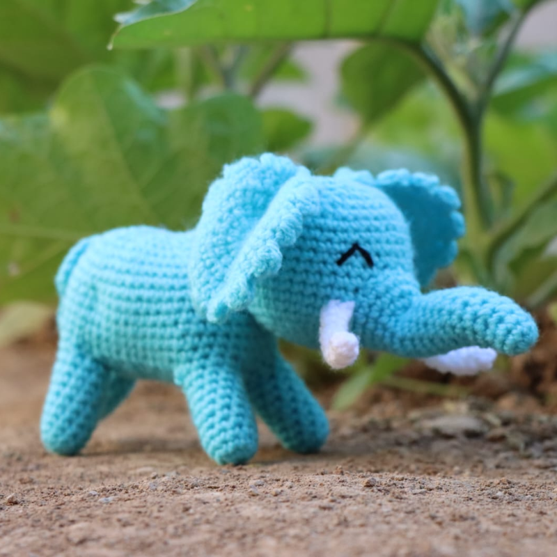 Echo the Elephant