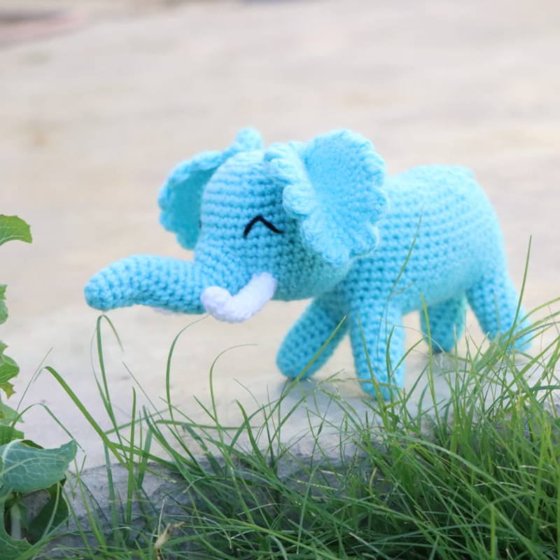 Echo the Elephant