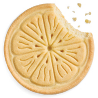 Lemonades- Savory slices of shortbread with a refreshing tangy lemon flavored icing *Made with vegan ingredients