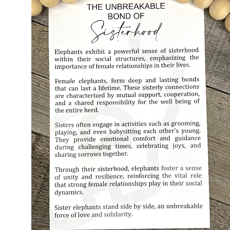 Sisterhood & Friendship Ornament