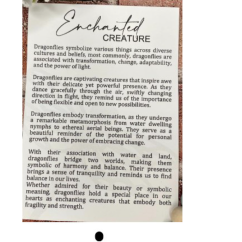 Dragon Fly Story Card Ornament 