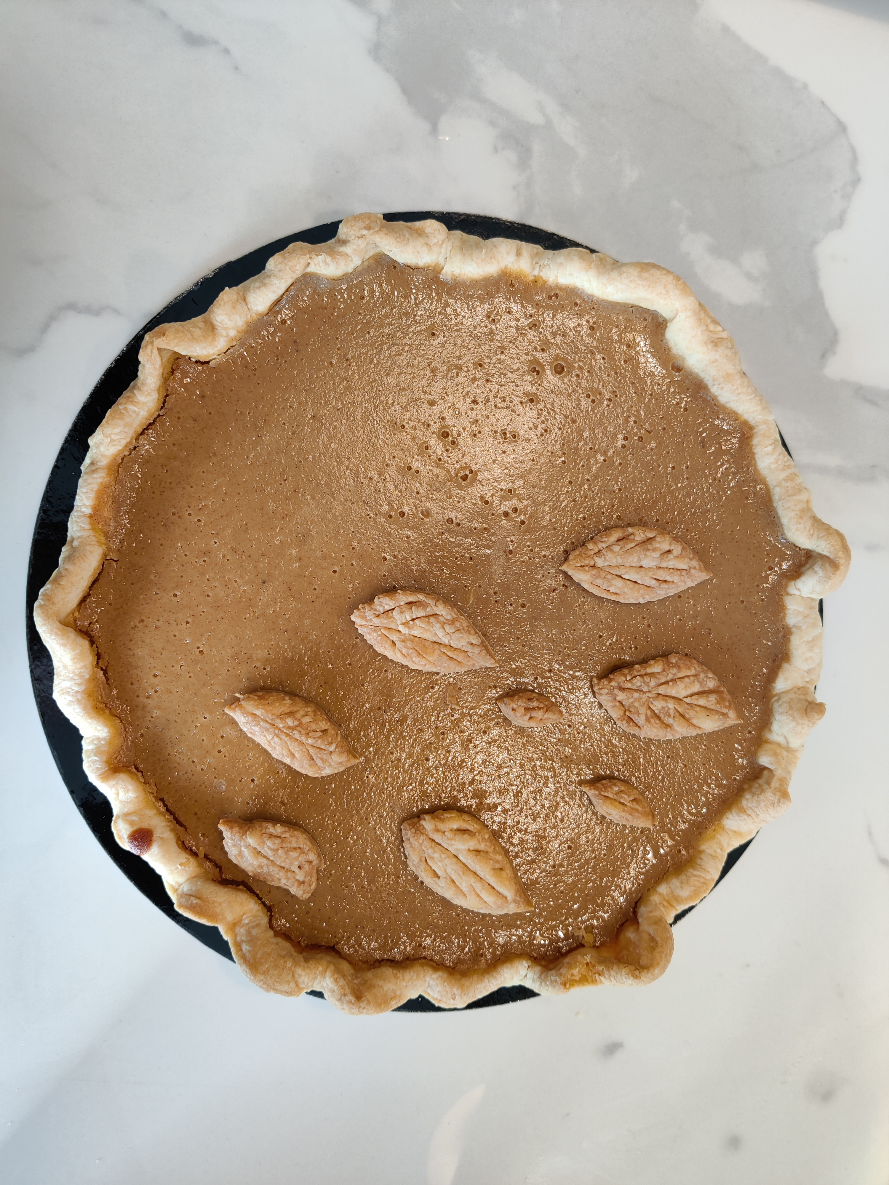 Large Pumpkin Pie Main Image