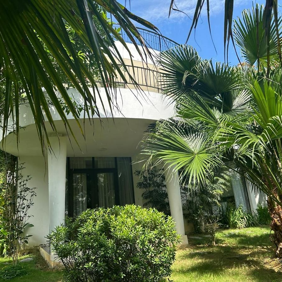 Saturday Night Only Villa