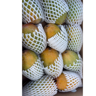 Kaybee Kesar  A Garde mango 12 pcs box 
