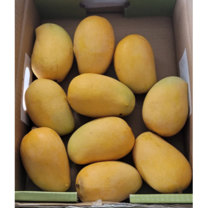 Golden Kesar  A Garde mango 12 pcs