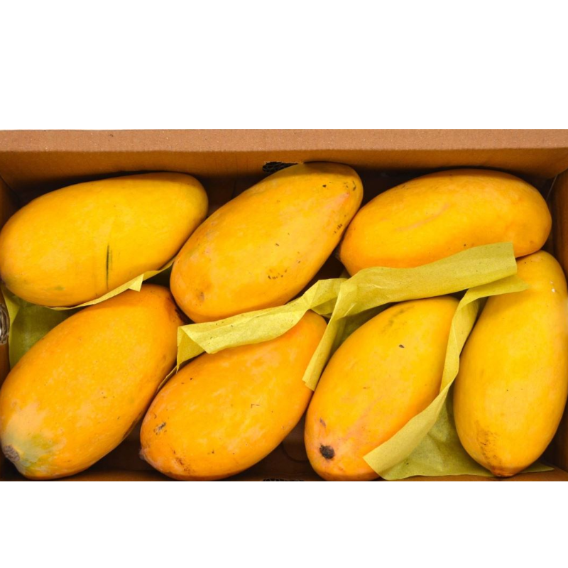 Honey Mango PK -2 KGS BOX Main Image