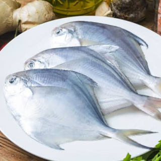 Silver pomfret Fish 1kg valid till Nov 2024 (out of stock)