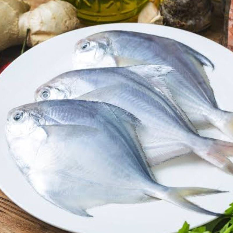 Silver pomfret Fish 1kg valid till Nov 2027