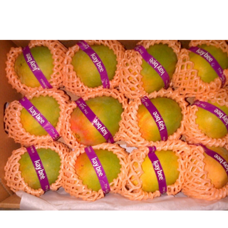 Mangoes & Vegetables (subject to availability) 