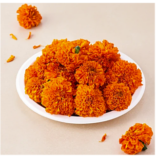 Marigold flower (500 sek kg)