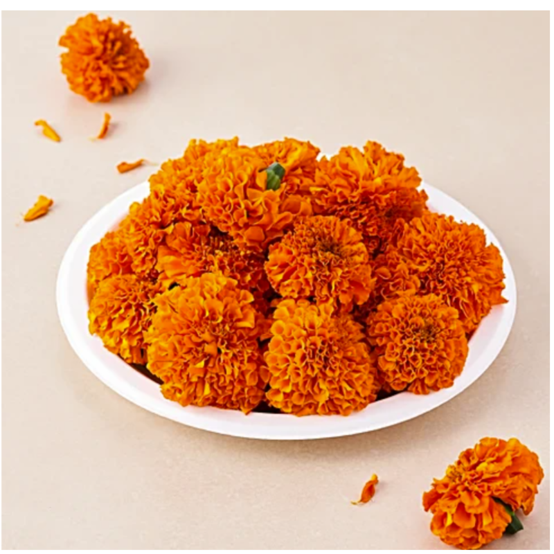 Marigold flower (500 sek kg)